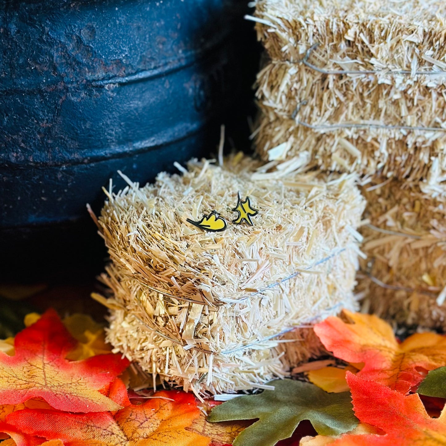 Blind Fall Leaf Pins and Magnets