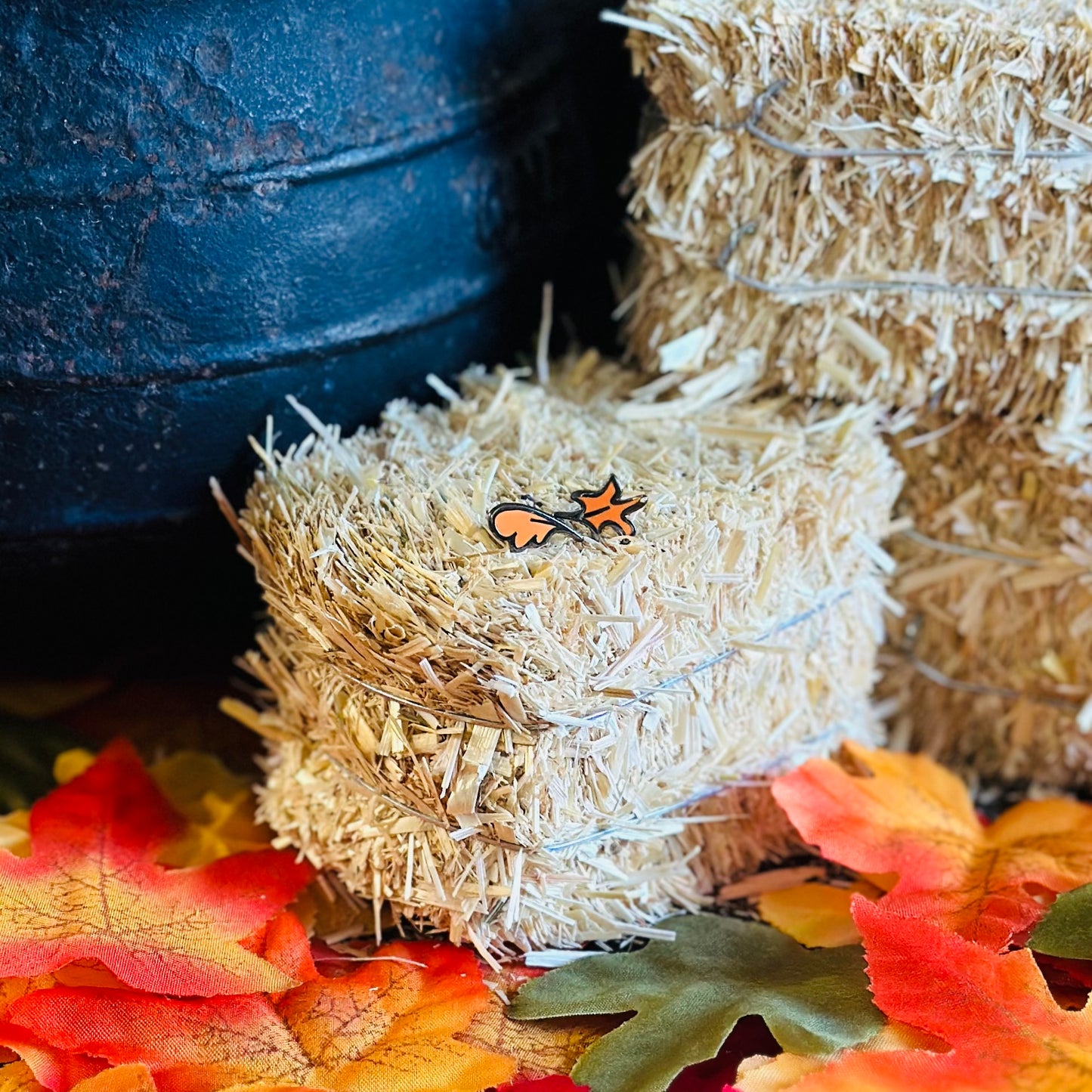 Blind Fall Leaf Pins and Magnets