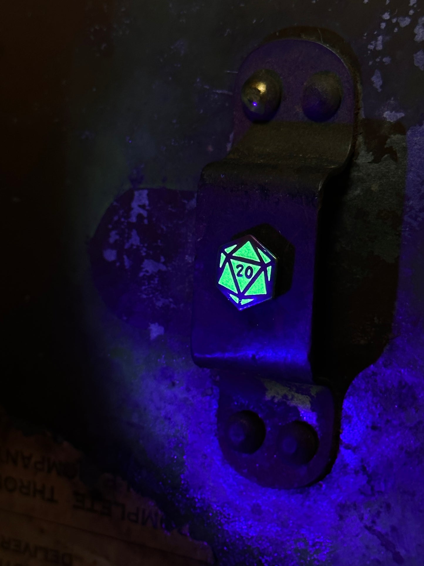 D20 Pins or Magnets