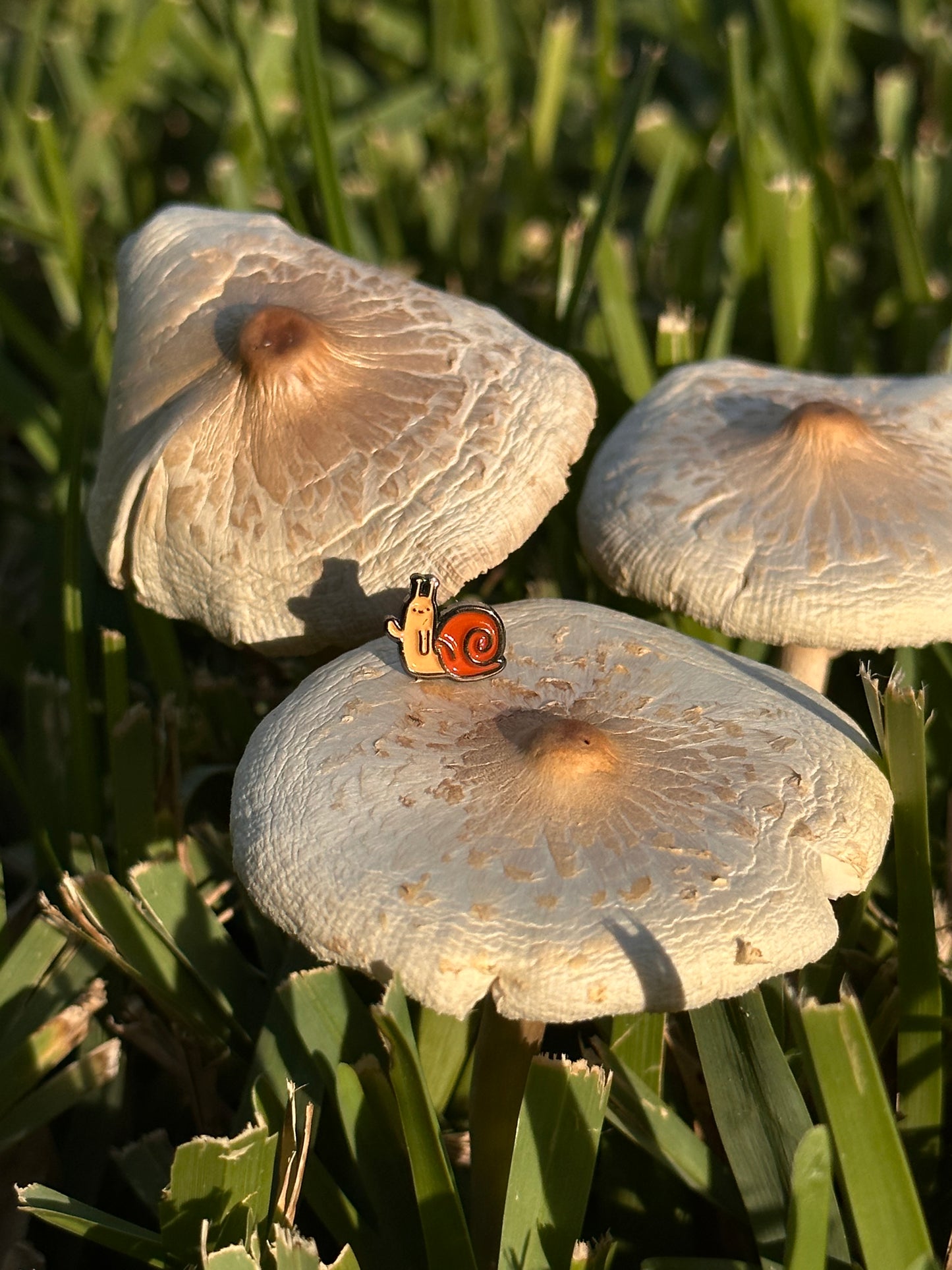 Mini Snail Pin or Magnet